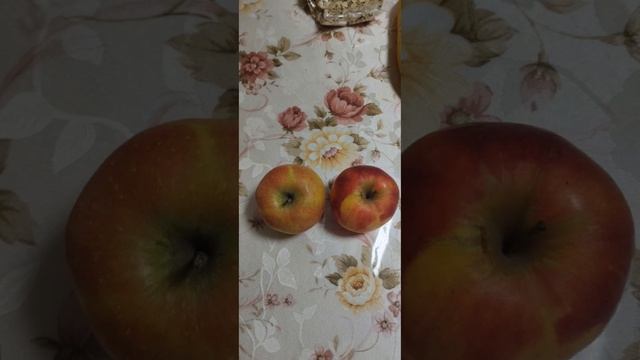 Завтрак чемпиона !!! смотреть онлайн