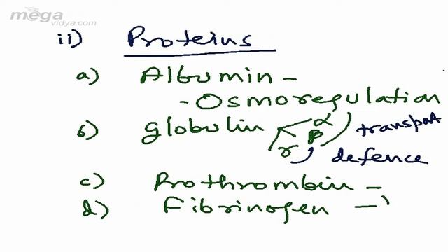 Zoology Part-02 смотреть онлайн
