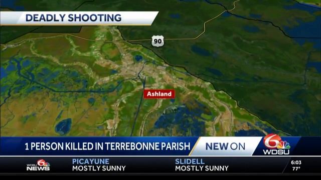 Terrebonne Parish sheriff investigating fatal shooting in Gray смотреть онлайн
