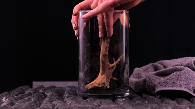 Mini Terrarium (Floraquatic) смотреть онлайн