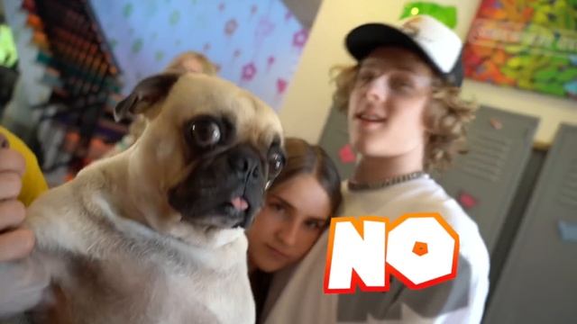 A DAY IN MY LIFE But in Alphabetical Order смотреть онлайн