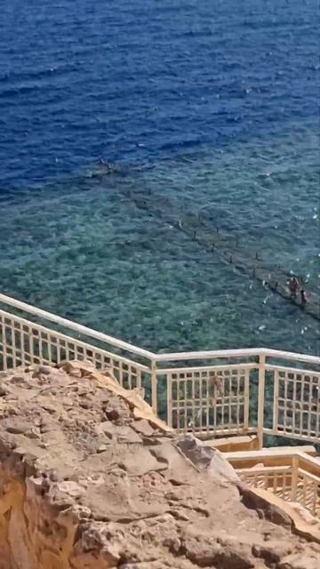 Погода в Шарме сегодня Волны успокоились) смотреть онлайн