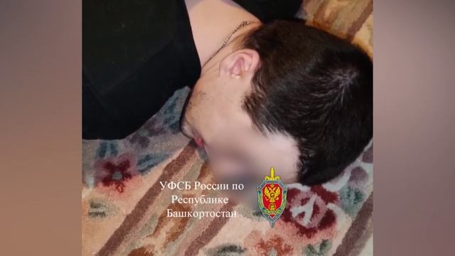 ЗАДЕРЖАНИИЕ ЗА ПУБЛИЧНОЕ ОПРАВДАНИЕ ТЕРРОРИЗМА смотреть онлайн