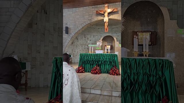 Christ the King Cathedral Catholic Church Nakuru Adoration led by Fr. Munyaka on 4th Feb 24 смотреть онлайн