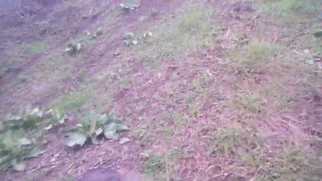 видос 10 смотреть онлайн