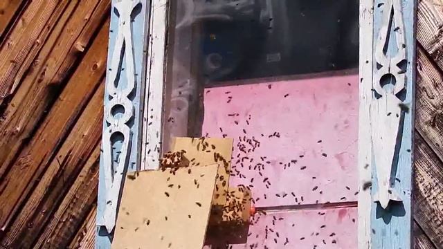 1июля2016 ПРОДОЛЖЕНИЕ РОЕНИЯ смотреть онлайн