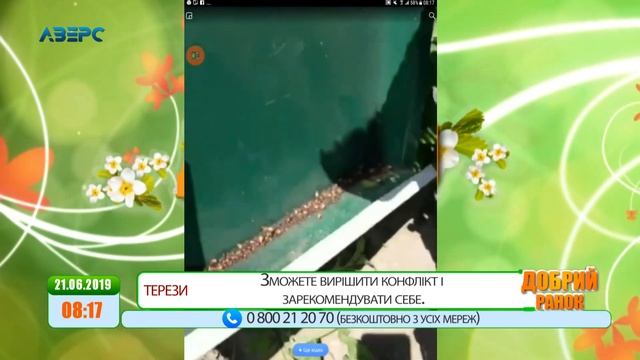 Добрий ранок 21 06 2019 частина 2 смотреть онлайн
