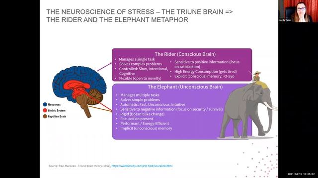 How to recognise stress behaviour & what you can do... (15 Apr 2021) [CIPD Essex & Ipswich Branch} смотреть онлайн