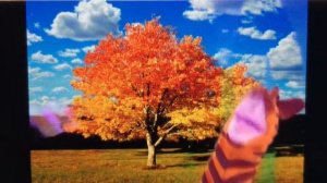 Baby Einstein baby Monet fall