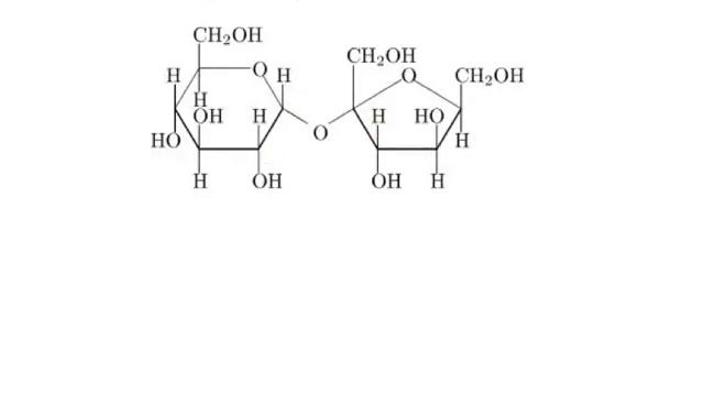 Monahan's Lesson on Carbohydrates смотреть онлайн