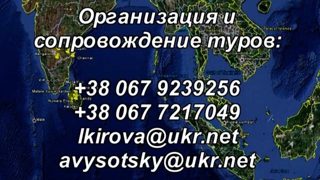Шри Ланка, на плантациях чая .... смотреть онлайн