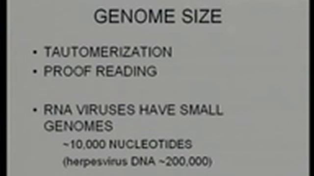 virology7.flv смотреть онлайн