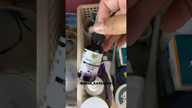 Ade ape dlm bilik kucing.. смотреть онлайн