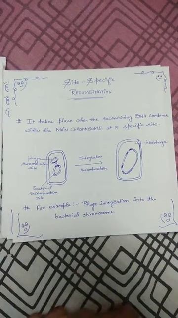 Recombination смотреть онлайн