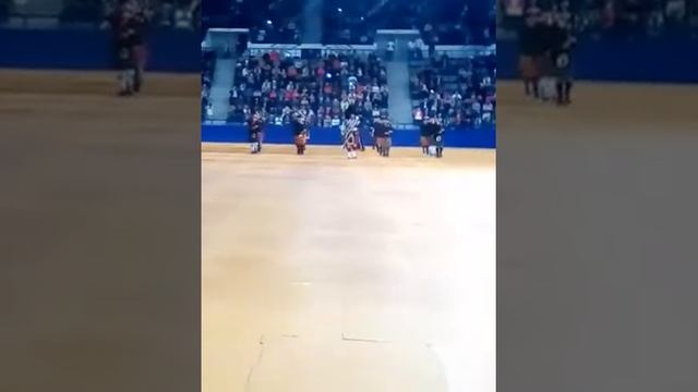 Выход волынок "амурские волны" смотреть онлайн