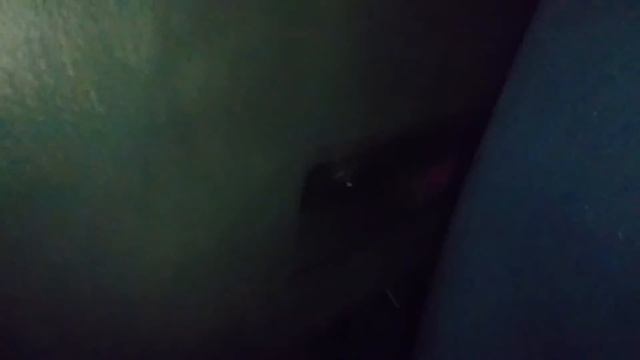 Octavia TDI 81 kW výfuková klapka / Exhaust CutOut Kit смотреть онлайн