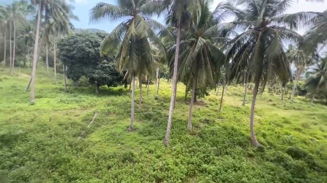 Samui for sale 2 Beds townhouse L5 in Maenam 132k$ and rent ~ 1470 k$ ⤵️ смотреть онлайн