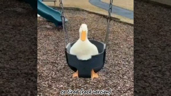 плейлист для захвата мира | wqussalk