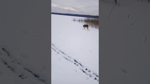 3 декабря 2018 г. смотреть онлайн
