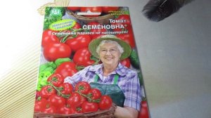 Обзор томата "Семеновна": характеристики и особенности от Уральского Дачника