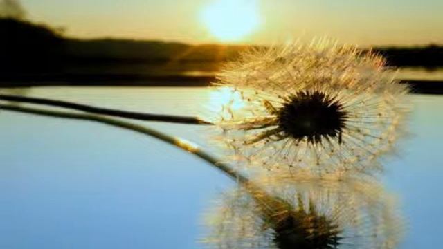 ВСЛЕД ЗА СОЛНЦЕМ. КРАСИВАЯ ГИТАРНАЯ МУЗЫКА