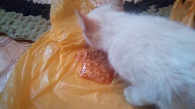 Семенычь смотреть онлайн