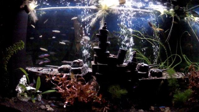 120 Liter Aquarium LED-Morgendämmerung смотреть онлайн