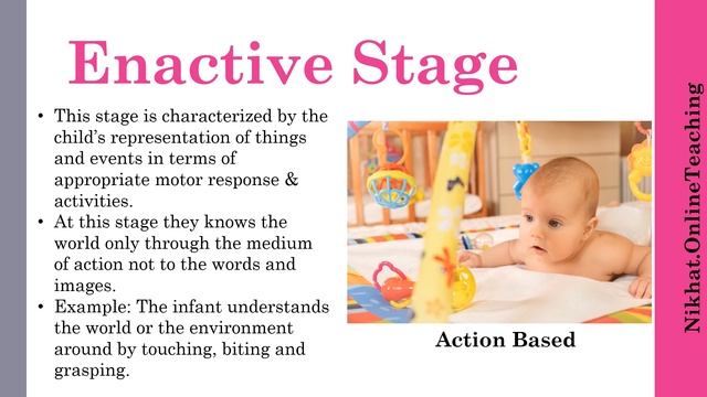 Jerome Bruner Theory of Cognitive Development || B.Ed. || KVS || CTET || DSSSB || Spiral Curriculum смотреть онлайн