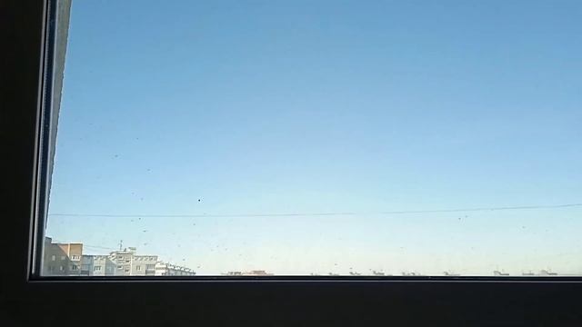 🔵Новый МЛМ с синим дизайном! Пассажирский лифт МЛМ 2021 года выпуска. смотреть онлайн