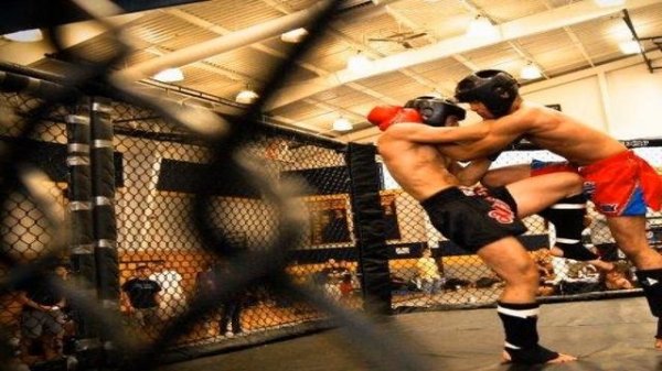 Клинч (единоборства)