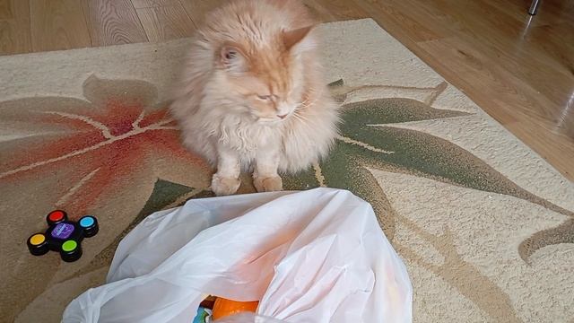 1000009151.mp4 смотреть онлайн