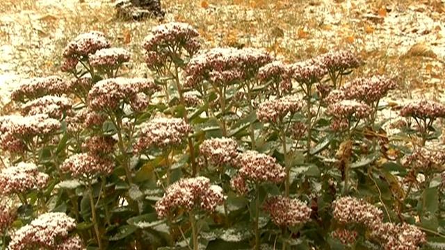Погода на 21 октября смотреть онлайн