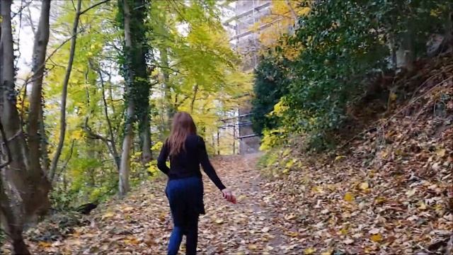 Visita a Baden Baden: il famoso centro TERMALE Tedesco смотреть онлайн