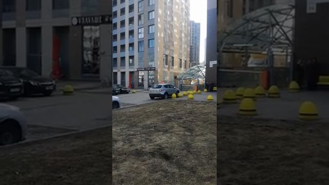 СПБ, проспект просвещения 8.04.2021 12:00 код 386 #3 видео смотреть онлайн