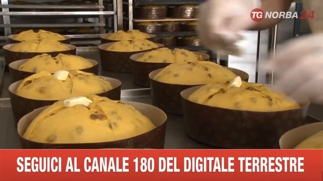 ACERENZA IL PANETTONE PIU' BUONO D'ITALIA