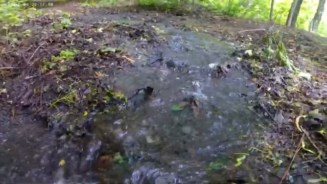 Первый снимок на экшен камере (качество видео 4к)