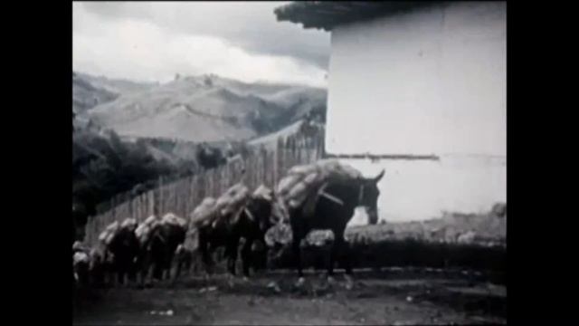 Coffee in Brazil смотреть онлайн