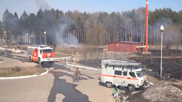 Пал травы смотреть онлайн