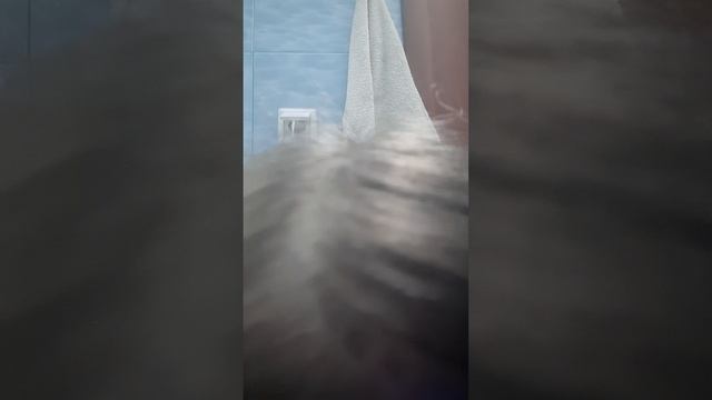 выступление смотреть онлайн