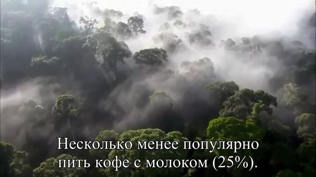 Что на завтрак — Статья смотреть онлайн