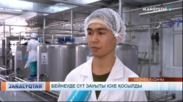 Бейнеуде сүт зауыты іске қосылды смотреть онлайн