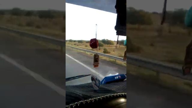 FOTON смотреть онлайн