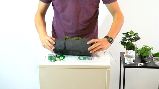 Montaje DOOA Terra Base y DOOA Neo Glass Air - PezVerde смотреть онлайн