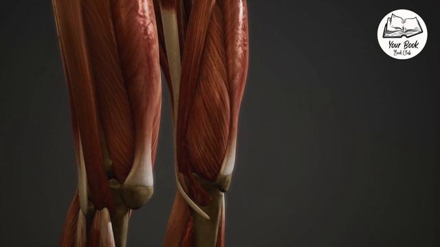 Anatomy of the Human Body Section 0 - 10 | Henry Gray (Audiobook) смотреть онлайн