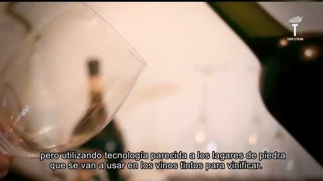 Con el Vino, una experiencia única | Luís Duarte, Enólogo смотреть онлайн