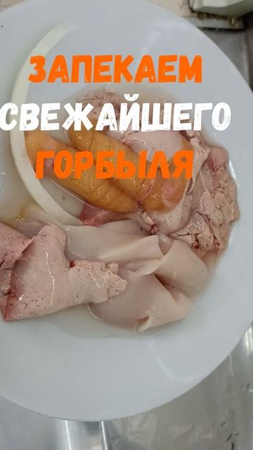 Мир прекрасных творений