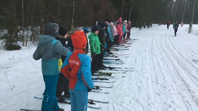 Авторский Педагогический Проект "Синергия" смотреть онлайн