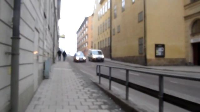 Швеция Стокгольм памятник лошади 27 2 2014 смотреть онлайн