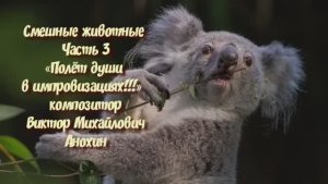 МУЗЫКА «Смешные животные №3» ИМПРОВИЗАЦИЯ фортепиано композитор Виктор Анохин #instrumentalmusic