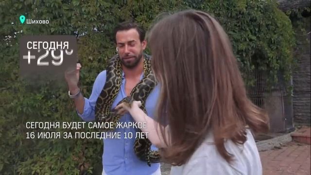 Метеострим. Выжить в змеином царстве | Шубенков. Илич смотреть онлайн